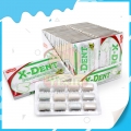 Sıcak helal X-DENT profesyonel nane aromalı sakız 